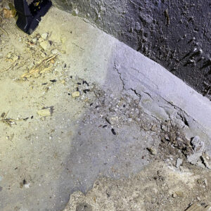 mouse droppings found in the crawl space of a house
